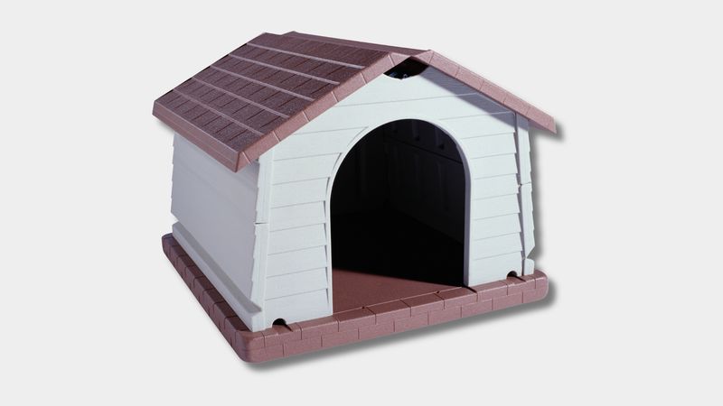 Pet Supplies