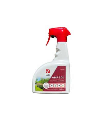 AMP 2 CL