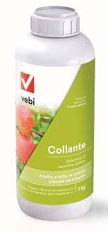 COLLANTE
