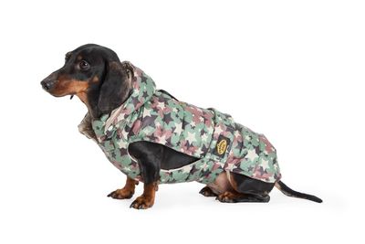 FashionDog - Teckel - Manteau imperméable matelassé avec capuche amovible