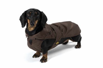 FashionDog - Teckel - Manteau imperméable avec un rembourrage amovible