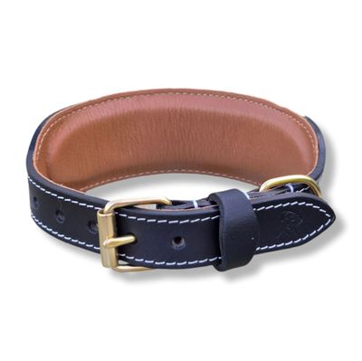 Kay-Line Collier pur cuir spécial lévrier marron ou noir GOBI