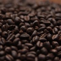 Bulk -Carafa 3