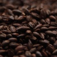 Bulk - Carafa 1