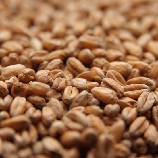 Oak Smoked Wheat 1lb.