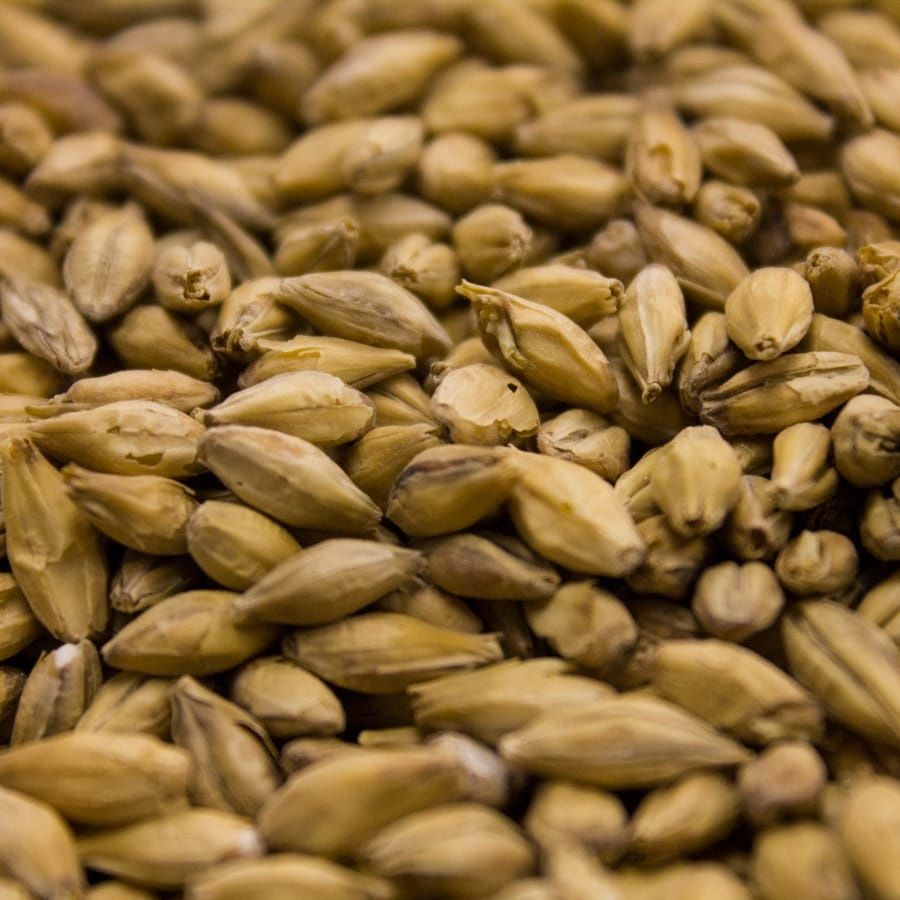 Barke Pilsner Malt