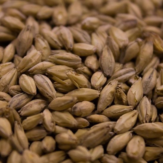 Peated Malt 1lb