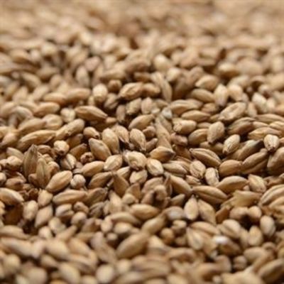 Peated Malt