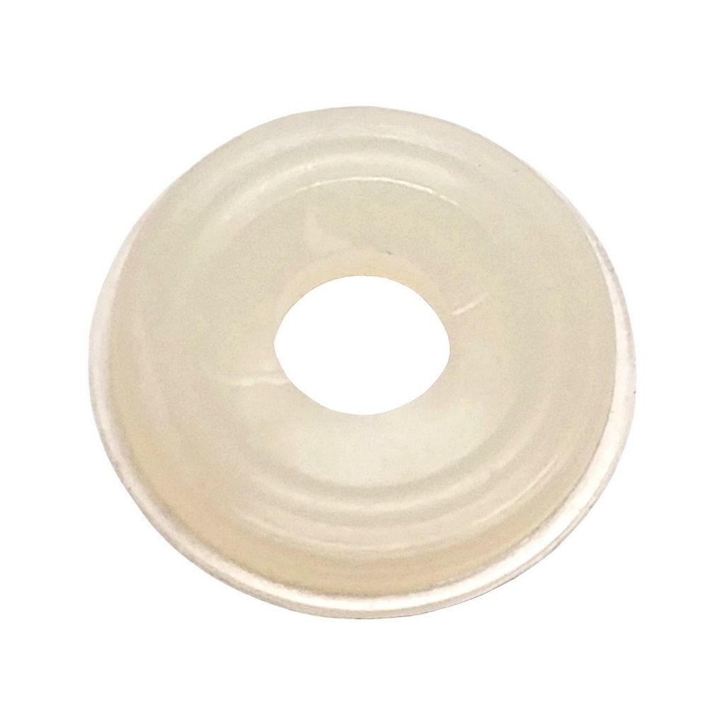 CO2 Regulator Gasket