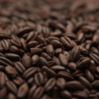 Bulk Weyermann Chocolate Rye