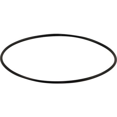 O-RING FOR FERMONSTER LID