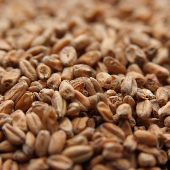 Weyermann Dark Wheat