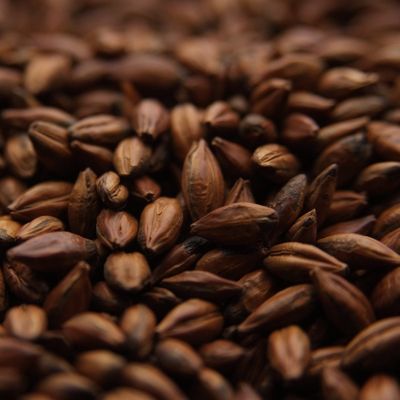 Pale Chocolate 1lb.