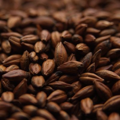Pale Chocolate 1lb.