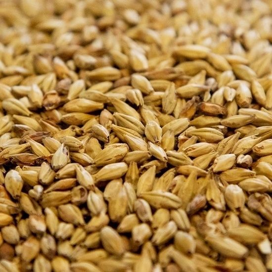 Bulk Dingemans Aromatic