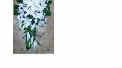Single ended oasis spray of lilies