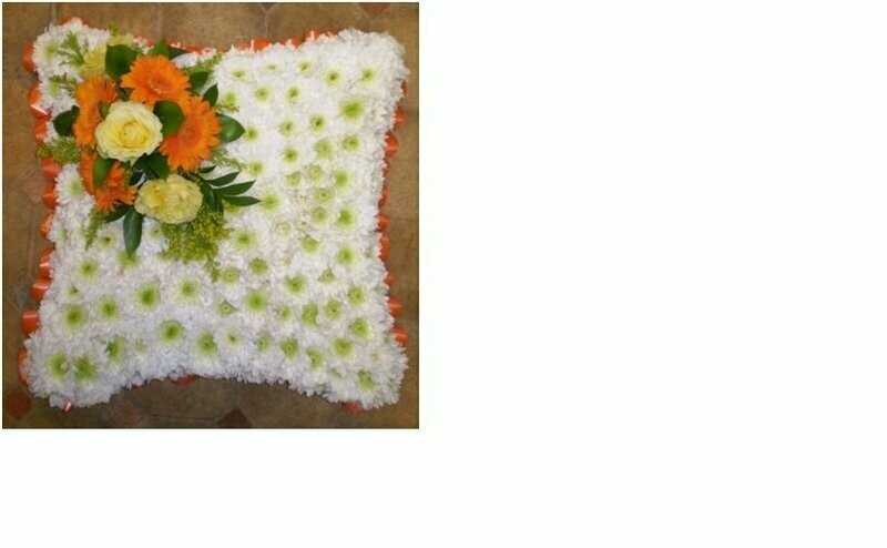 Cushion