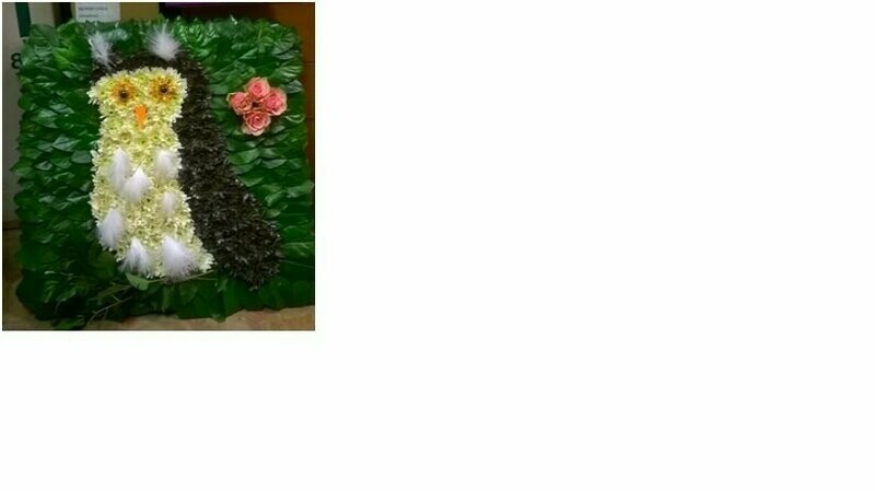 Owl on cushion