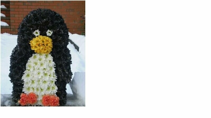 3D Penguin