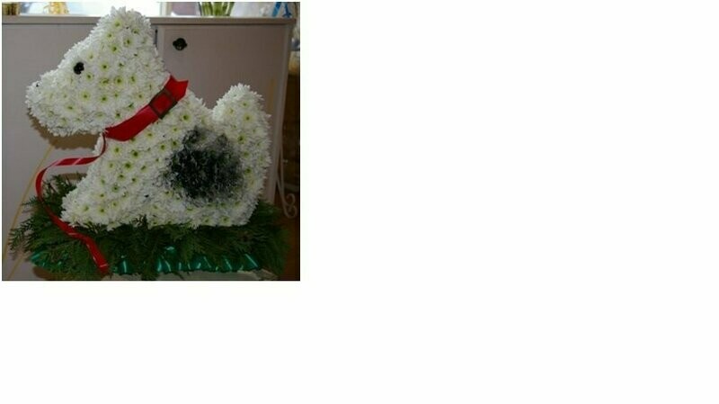 3D dog