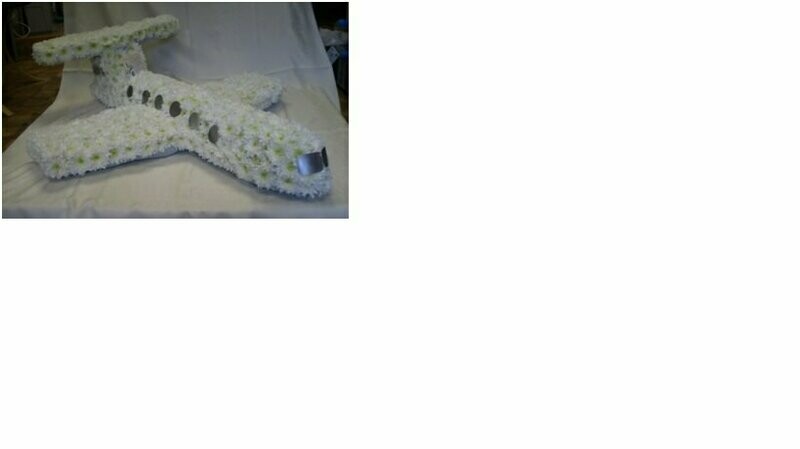 3D White Areoplane