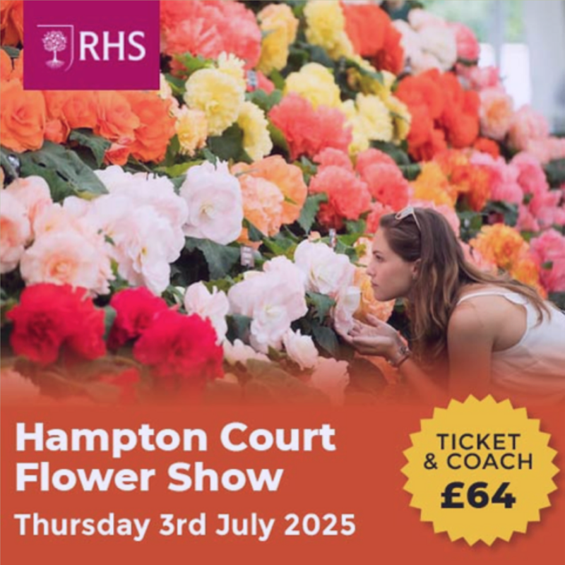 2. Hampton Court Flower Show | SOLD OUT