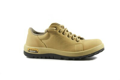 ZAPATO NH  2503/100