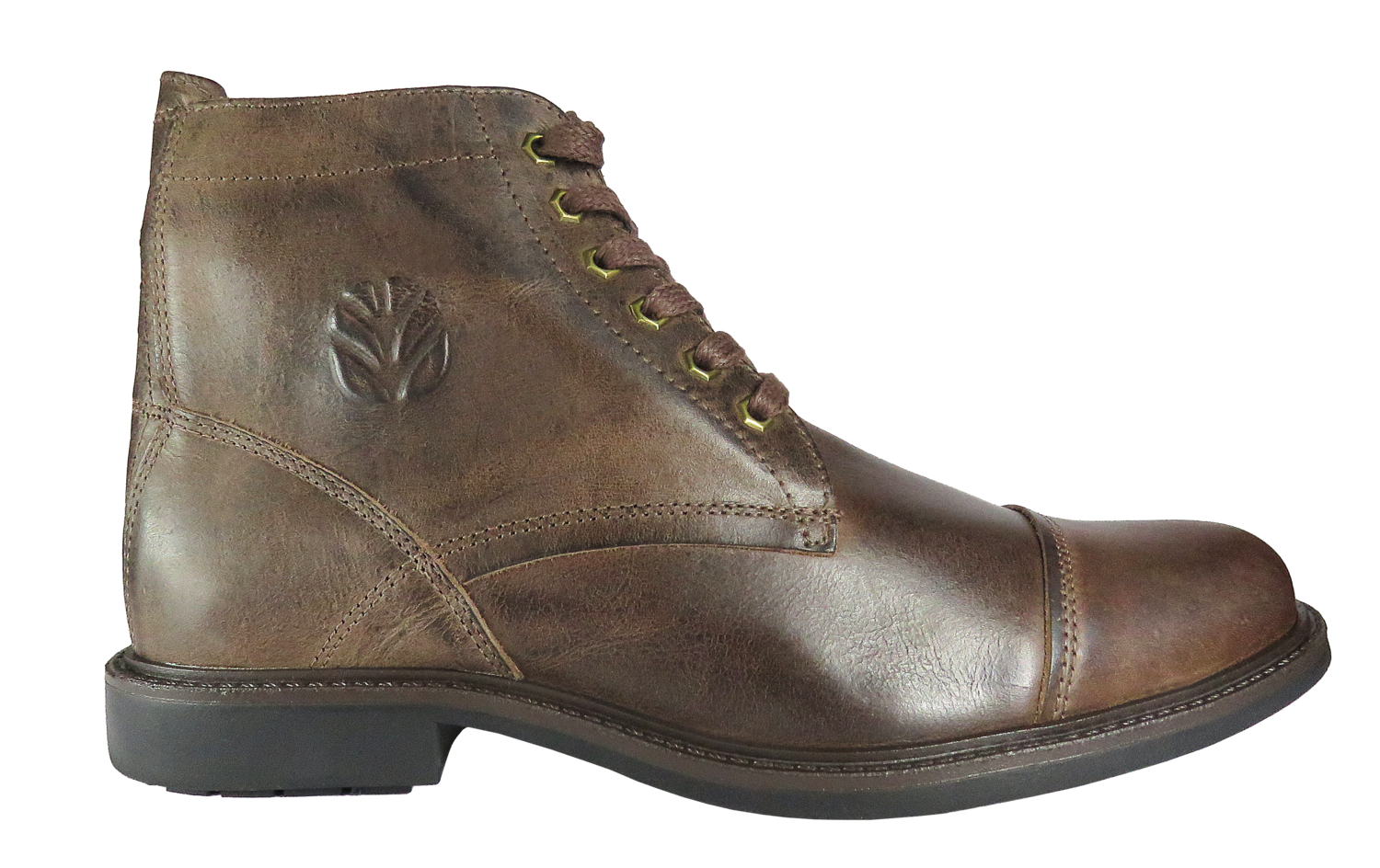 BOTA NH FOSSIL