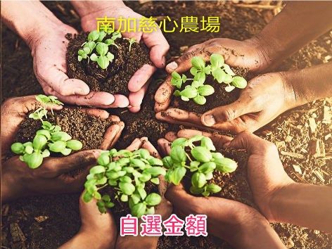 南加慈心農場 自填金額