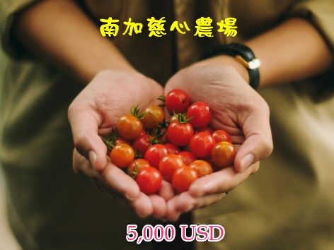 南加慈心農場 $5,000
