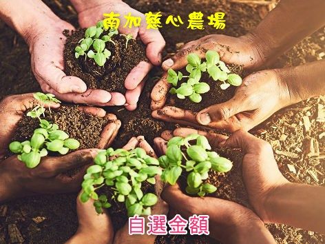 南加慈心農場 自填金額