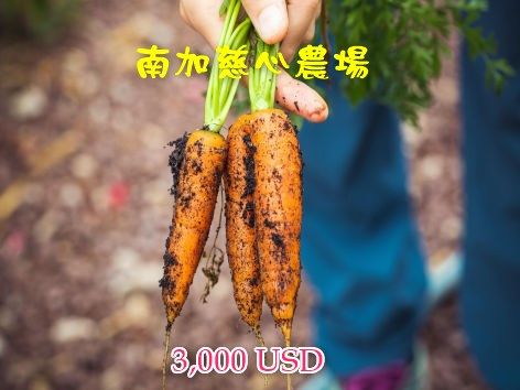 南加慈心農場 $3,000