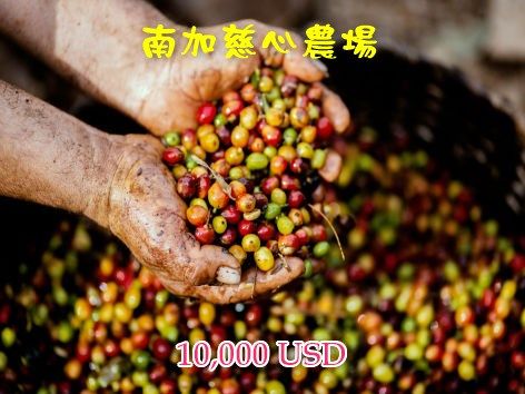 南加慈心農場 $10,000