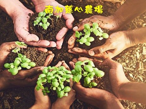 福智南加慈心農場募款專案