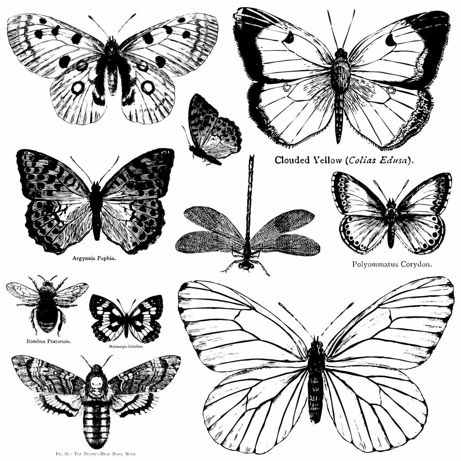 IOD Butterflies 12" x 12" Décor Stamp