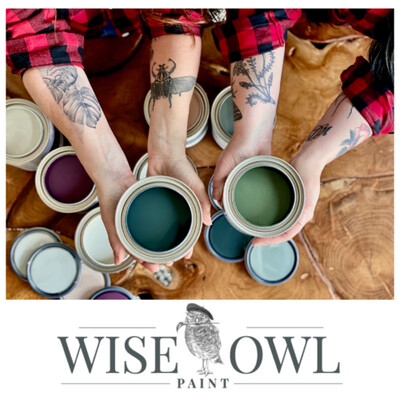 Wise Owl Paint