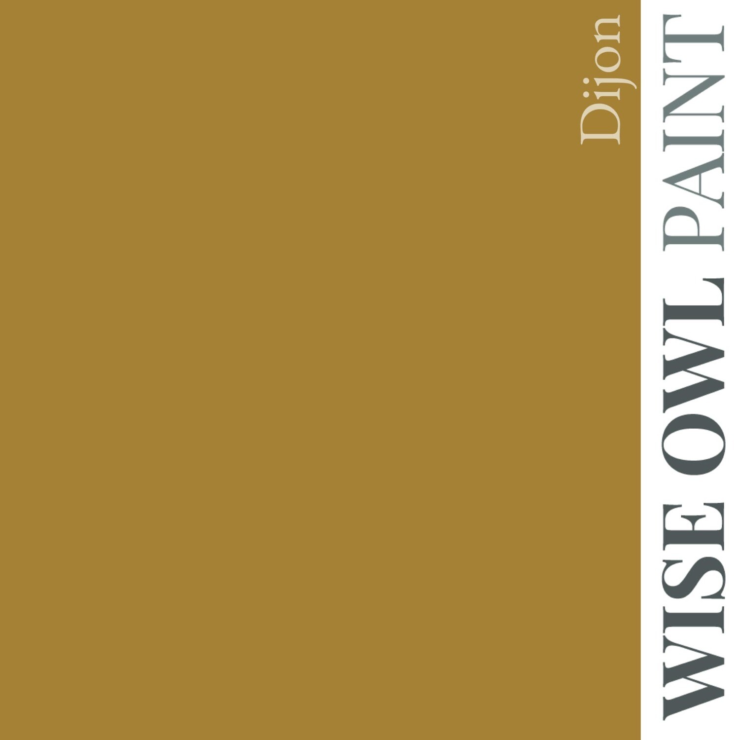 Dijon Wise Owl Chalk Synthesis Paint (16 oz)