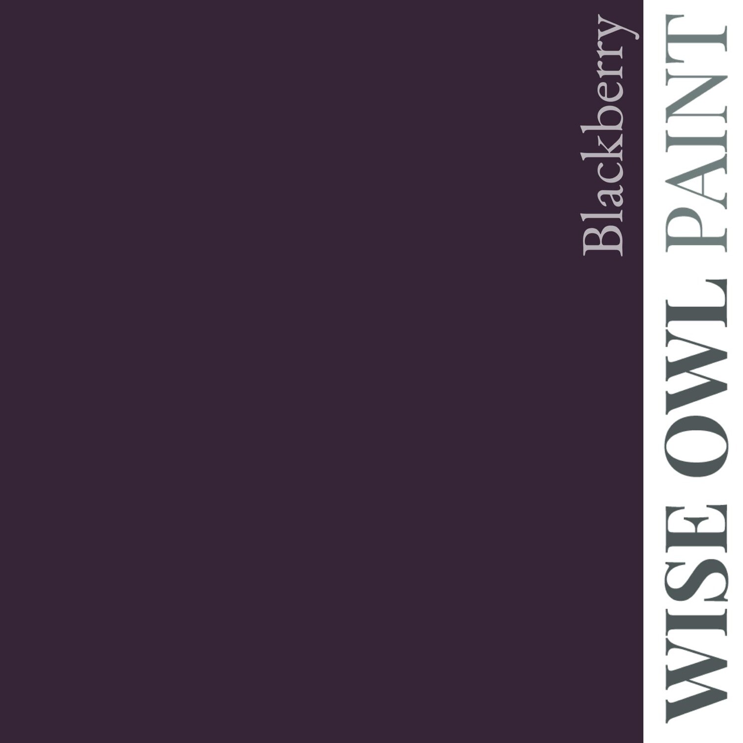 Blackberry Wise Owl Chalk Synthesis Paint (16 oz)