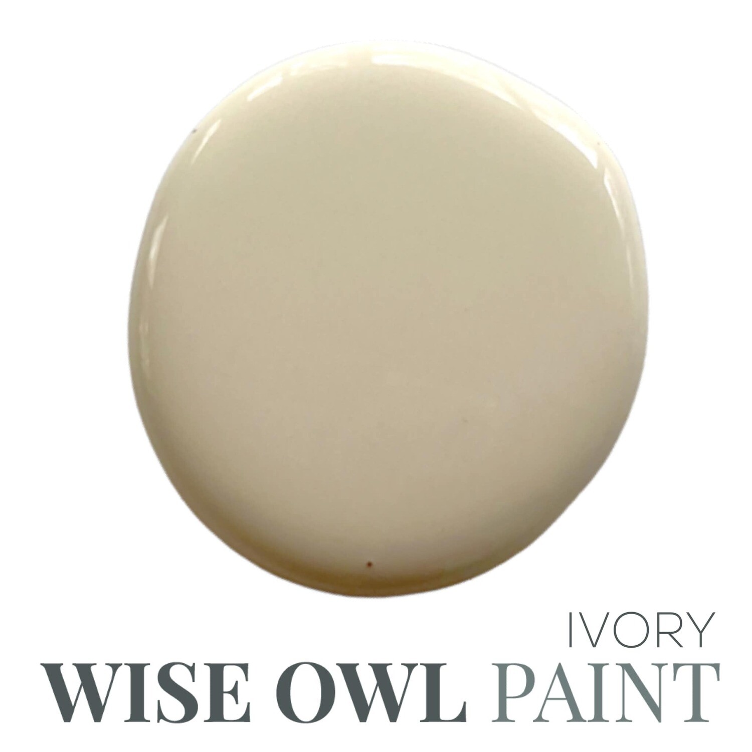 Ivory Wise Owl Chalk Synthesis Paint