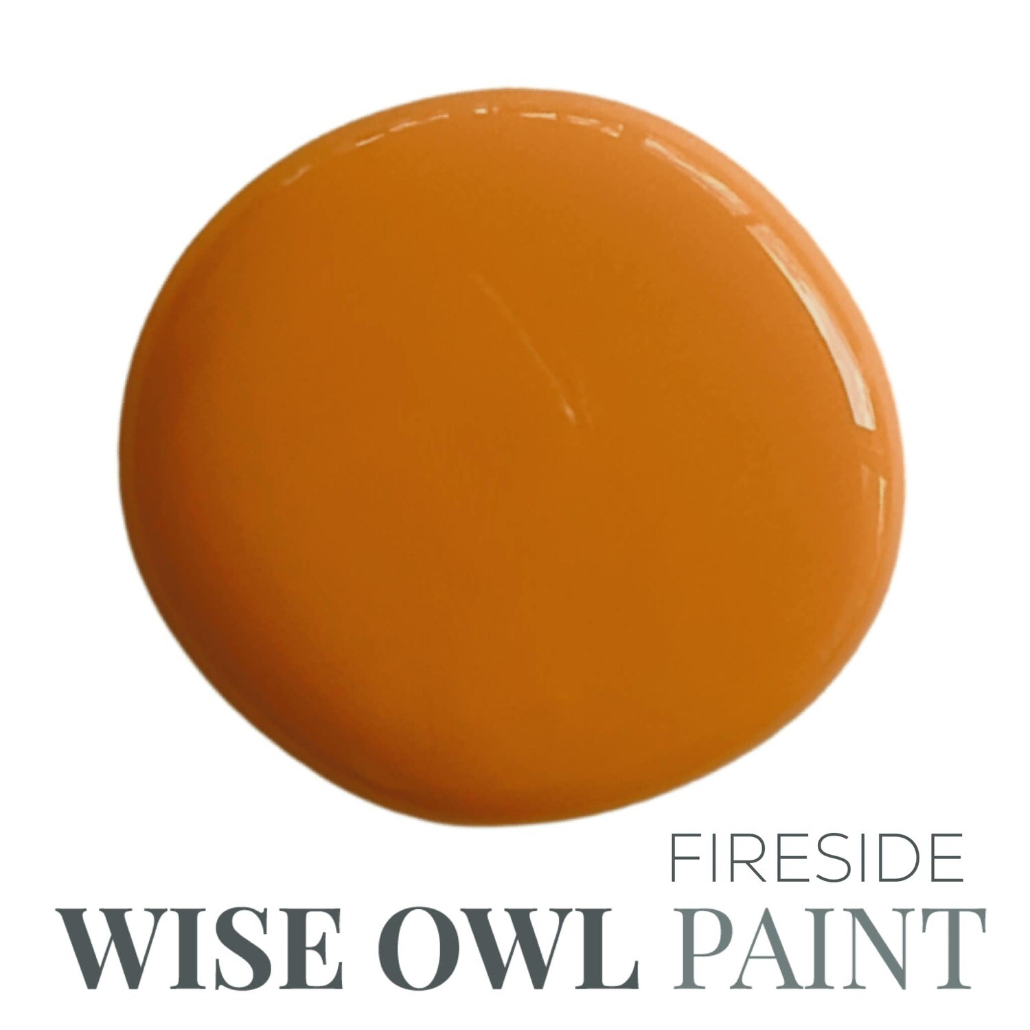 Fireside Wise Owl Chalk Synthesis Paint