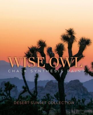 Wise Owl Desert Sunset Collection