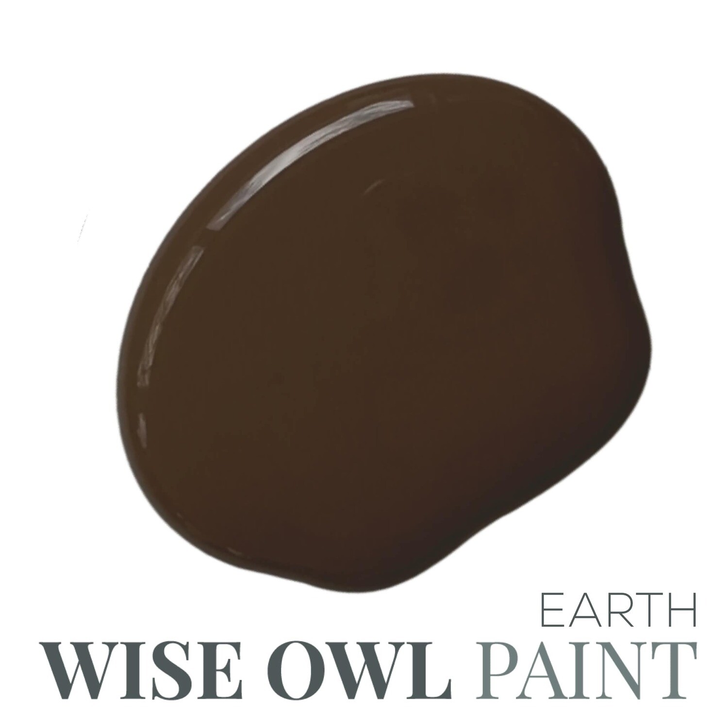 Earth Wise Owl Chalk Synthesis Paint