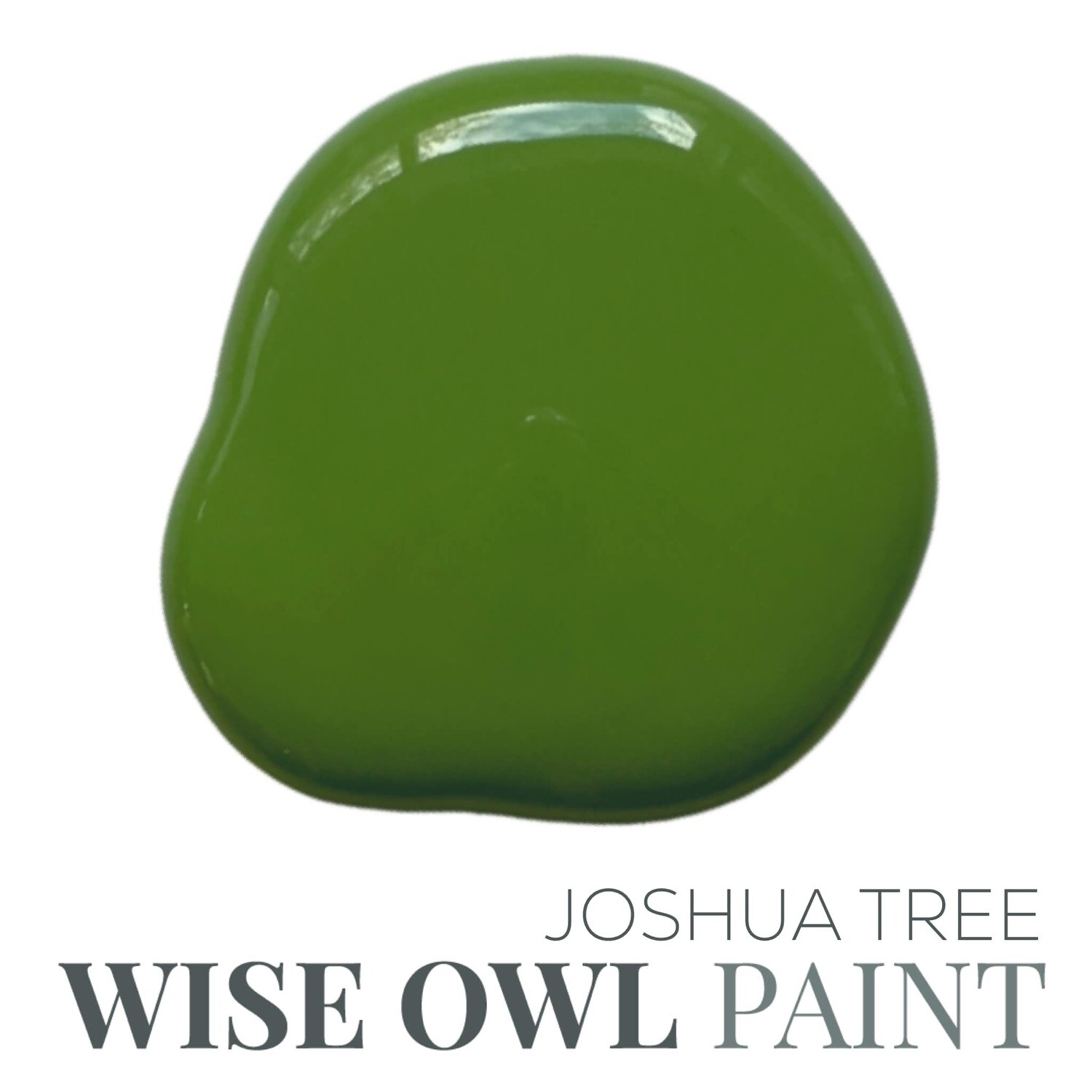 Joshua Tree Wise Owl Chalk Synthesis Paint