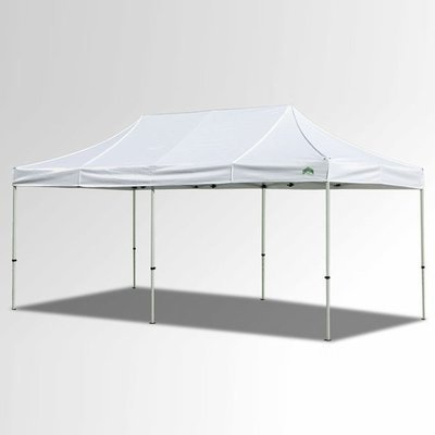 10 x 20 Canopy Tent