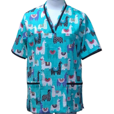 Fun Scrubs-LLama