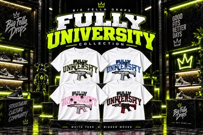 Fully University