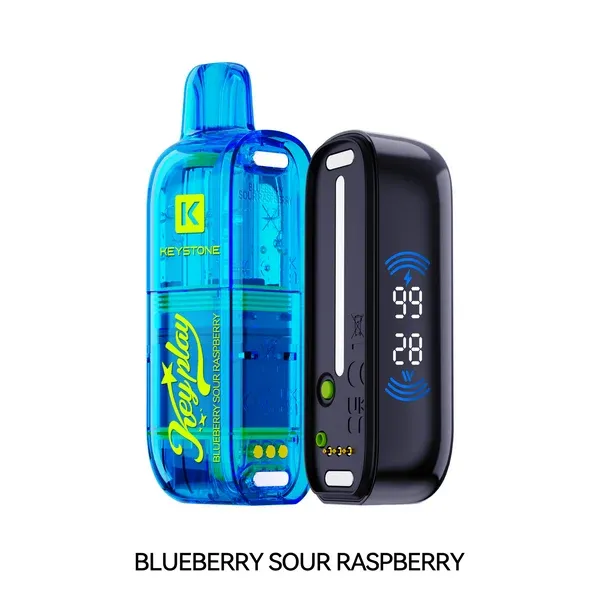 [Disposables] VFEEL Keyplay - Blueberry Raspberry