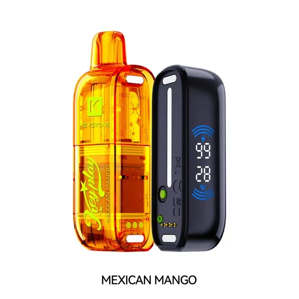 [Disposables] VFEEL Keyplay - Mexican Mango