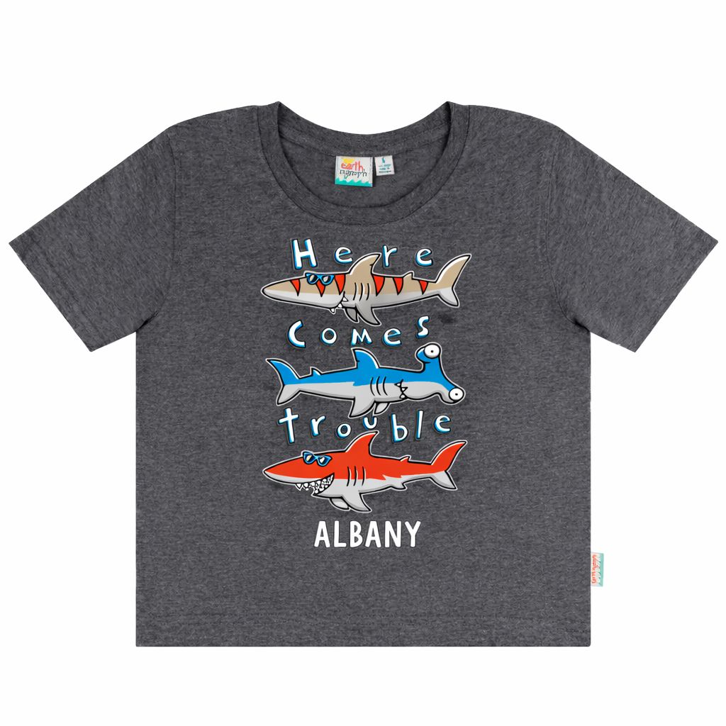 EARTH NYMPH Boys' T-Shirt - Shadey Trouble - Dark Grey Marle