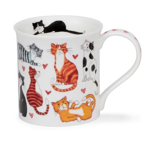 DUNOON Bute Lovable Cats